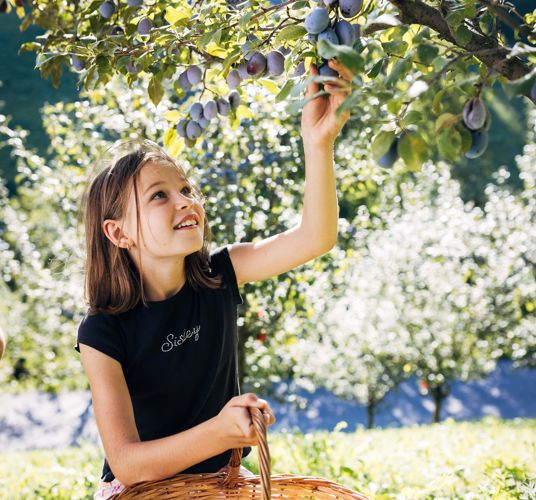 barbianer-zwetschke-c-thomas-roetting-99