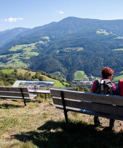 On the Birmehl Trail