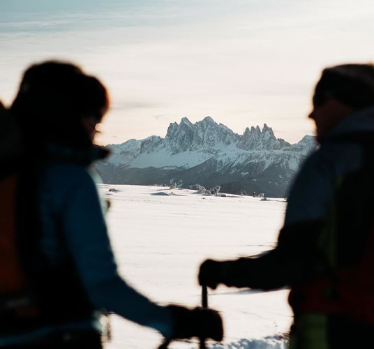 Two peoople enjoying the winter panorama