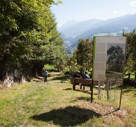 On the Birmehl Trail