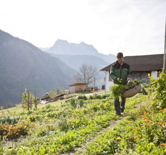 Harald Gasser at work