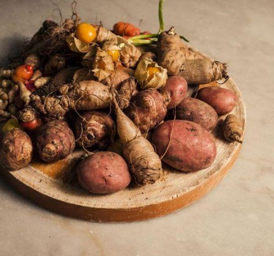 Vegetables from the Aspingerhof farm